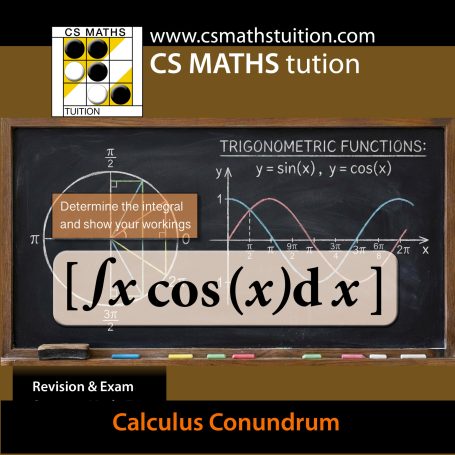 CS Maths Tuition: Master Calculus with Logic Puzzles & Code